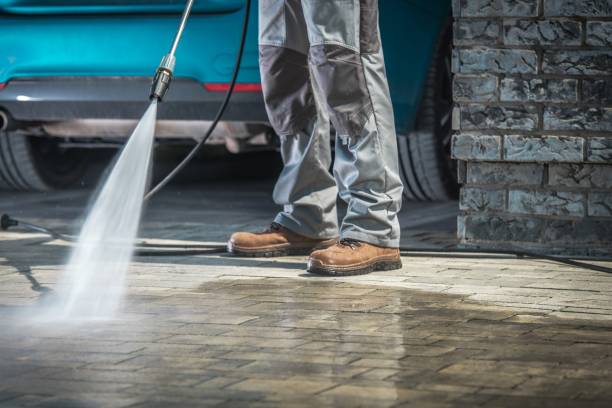 Best Gutter Cleaning  in Fern Park, FL
